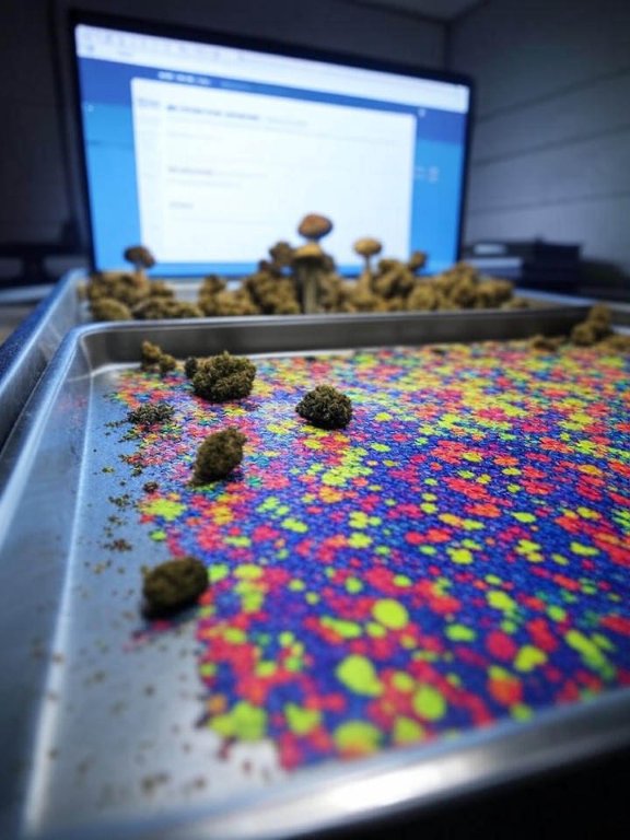 More Vendors Mean Better Choices on the Darknet dark market list